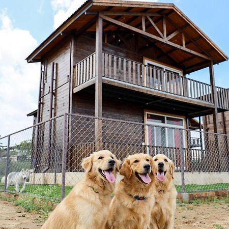 Therpup Resort Kammasandra Εξωτερικό φωτογραφία