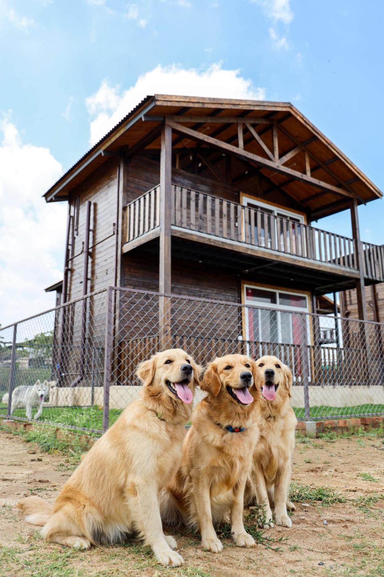 Therpup Resort Kammasandra Εξωτερικό φωτογραφία