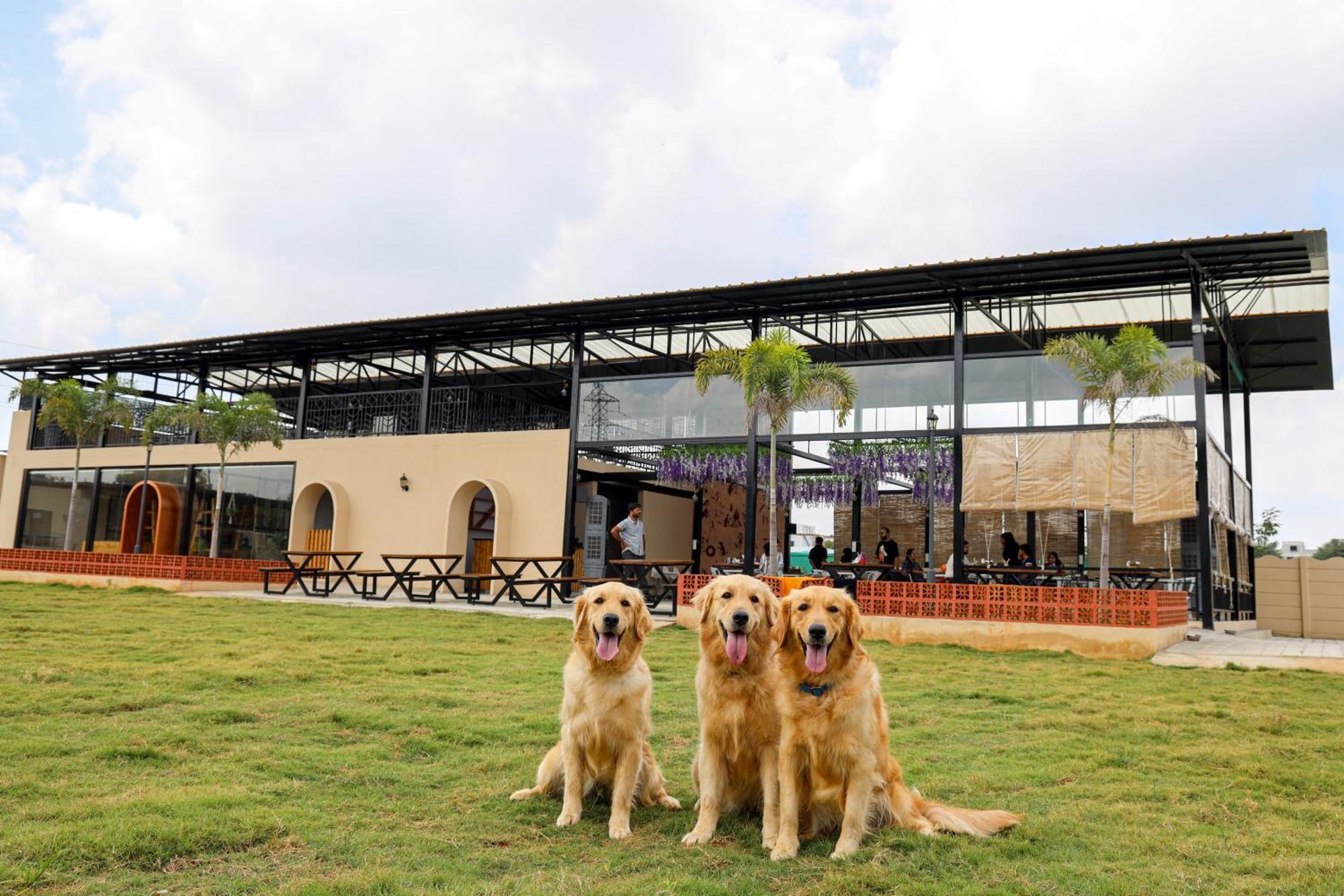 Therpup Resort Kammasandra Εξωτερικό φωτογραφία